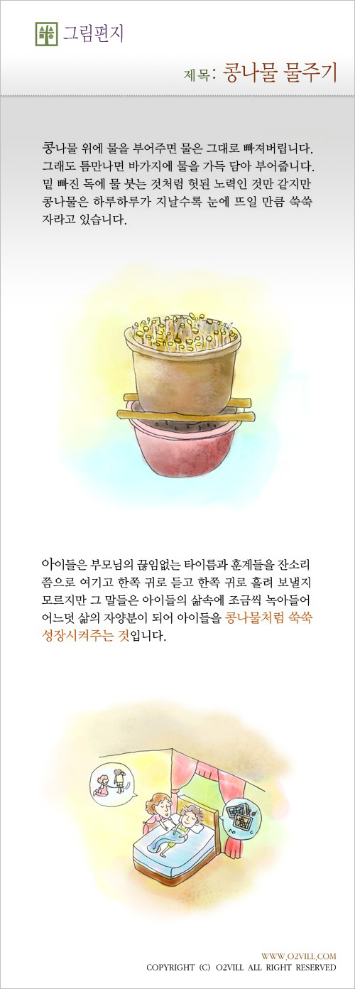 콩나물 물주기