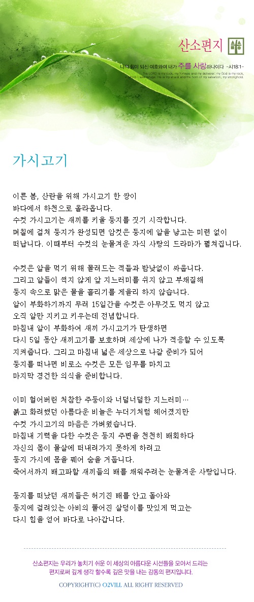 가시고기